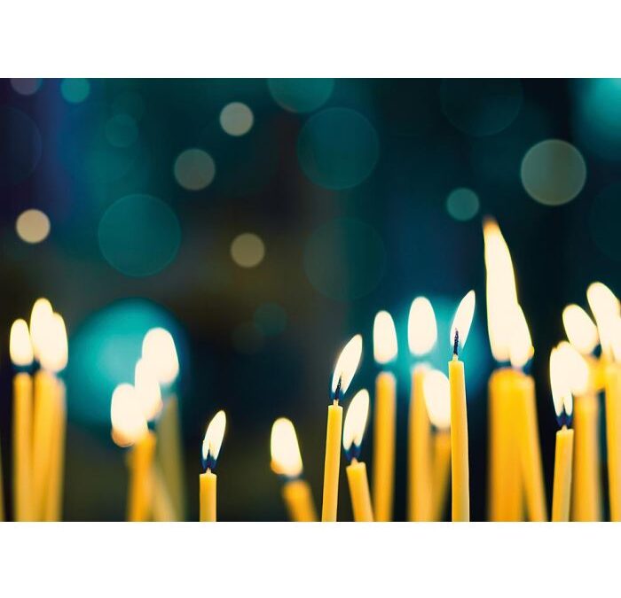 Newsletter vom Arche- und Skuddenhof November 2025